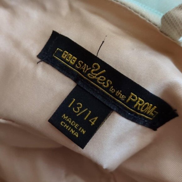 TLC Say Yes To The Prom Sz 13/14 BallGown Beaded Bodice Cream Irridescent Tulle - Picture 5 of 6